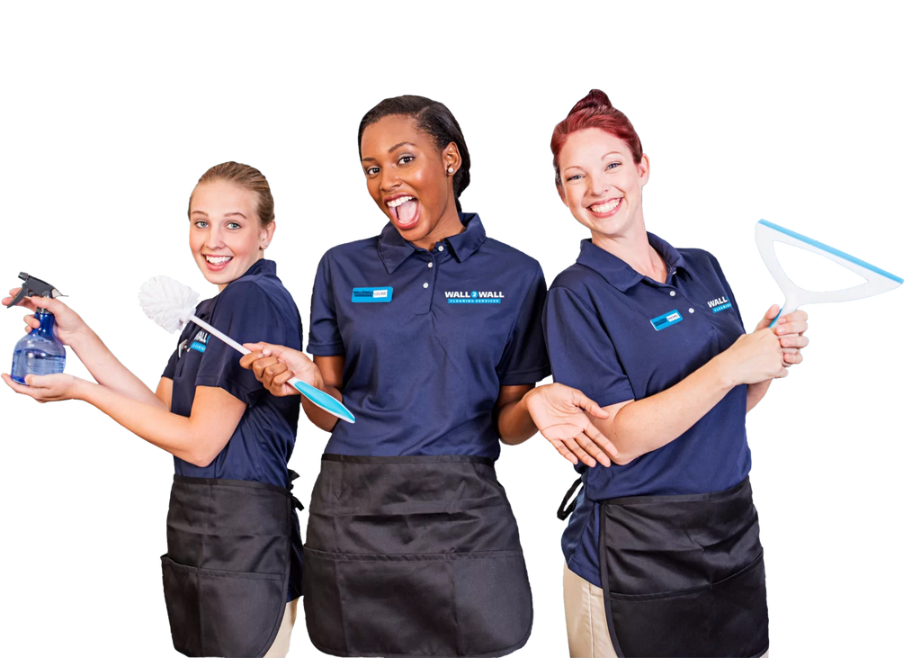 Cleaning maid services